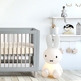 Cocoon Allure Cot + Mattress