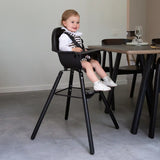 Evolu 2 High Chair