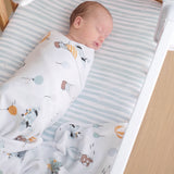 Living Textiles 2pk Bassinet Jersey Fitted Sheet - Up, Up & Away