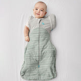 Love to Dream Swaddle Up Transition Bag Warm 2.5 Tog